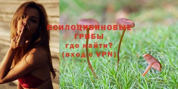 соль курить ск Белокуриха